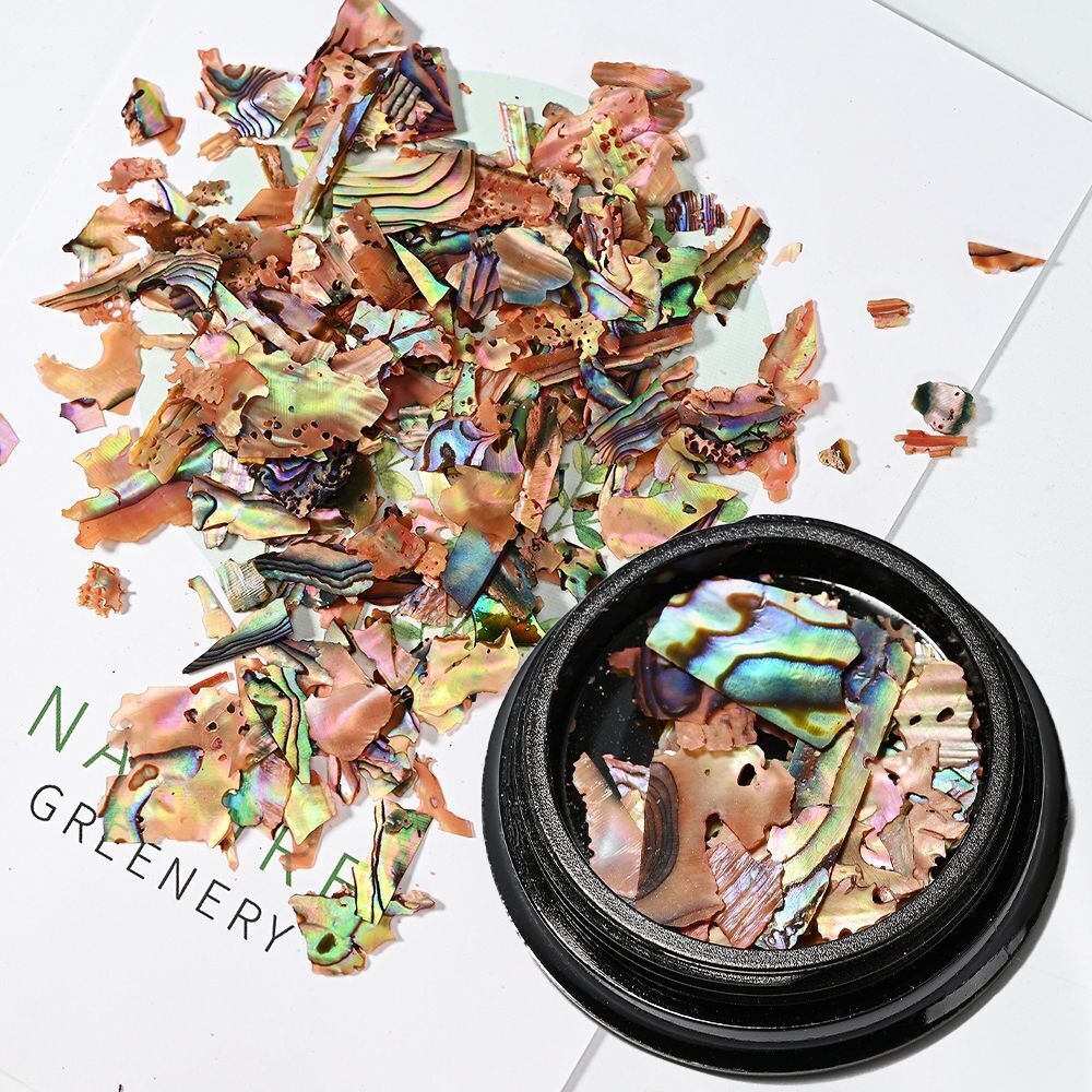 Nail Art Decor 3D Irregular Abalone Natural Sea Shell Stones DIY Accessory 1 Box