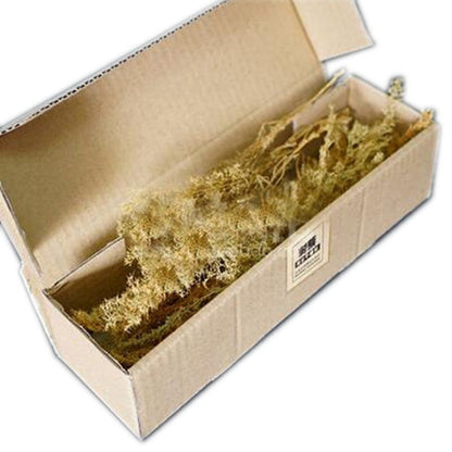 Miniature Quinoa Plant Dry Tree Model DIY Railway Building Sand Table Layout Kit