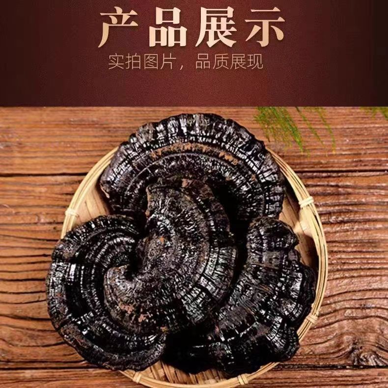 Pure Natural Black Lingzhi – Authentic Whole Dried Reishi Mushrooms 500g