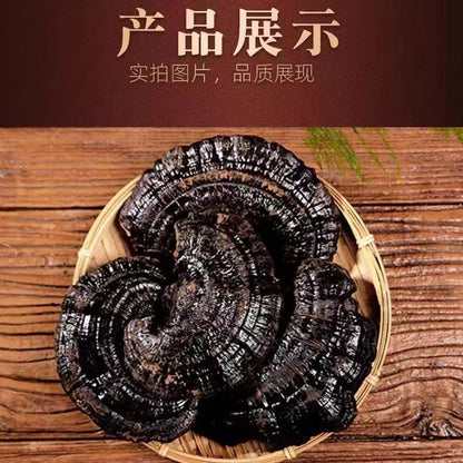 Pure Natural Black Lingzhi – Authentic Whole Dried Reishi Mushrooms 500g