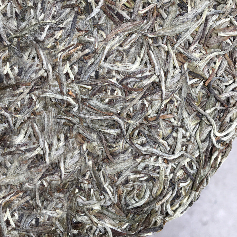 Spring White Tea Silver Needle Premium Bai Hao Yin Zhen Cake Kungfu Tea 300g