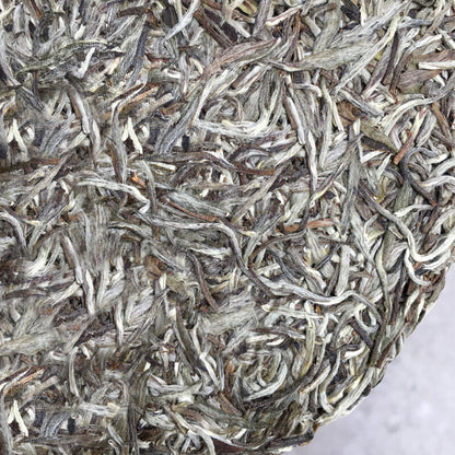 Spring White Tea Silver Needle Premium Bai Hao Yin Zhen Cake Kungfu Tea 300g