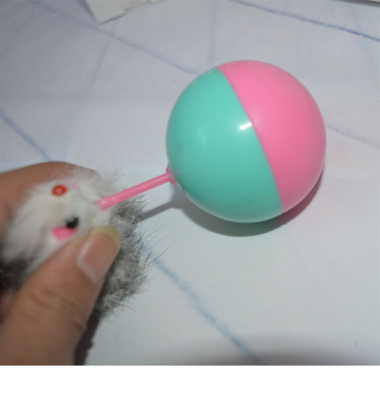 Cat Toy Teaser Ball Interactive Plastic Funny Mouse Tumbler Dog Training Kitten