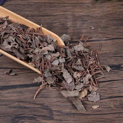 Organic Herbal Ardisiae Japonicae Herbal Ardisia Japonica Great Quality