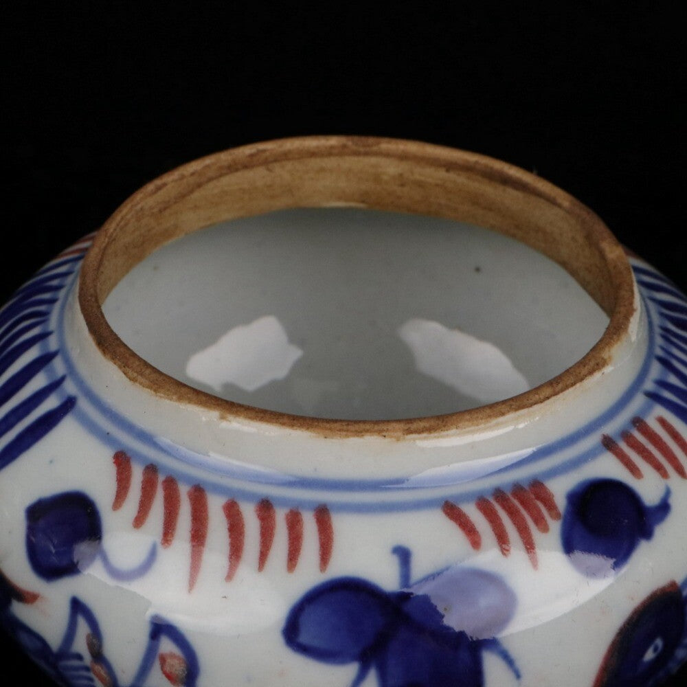Old Chinese Porcelain Color Painted Mandarin Duck Playing Jar Pots