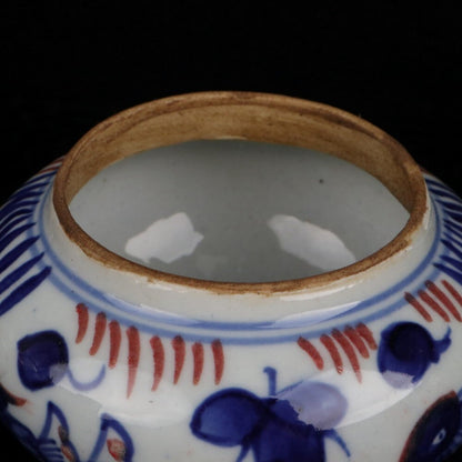 Old Chinese Porcelain Color Painted Mandarin Duck Playing Jar Pots