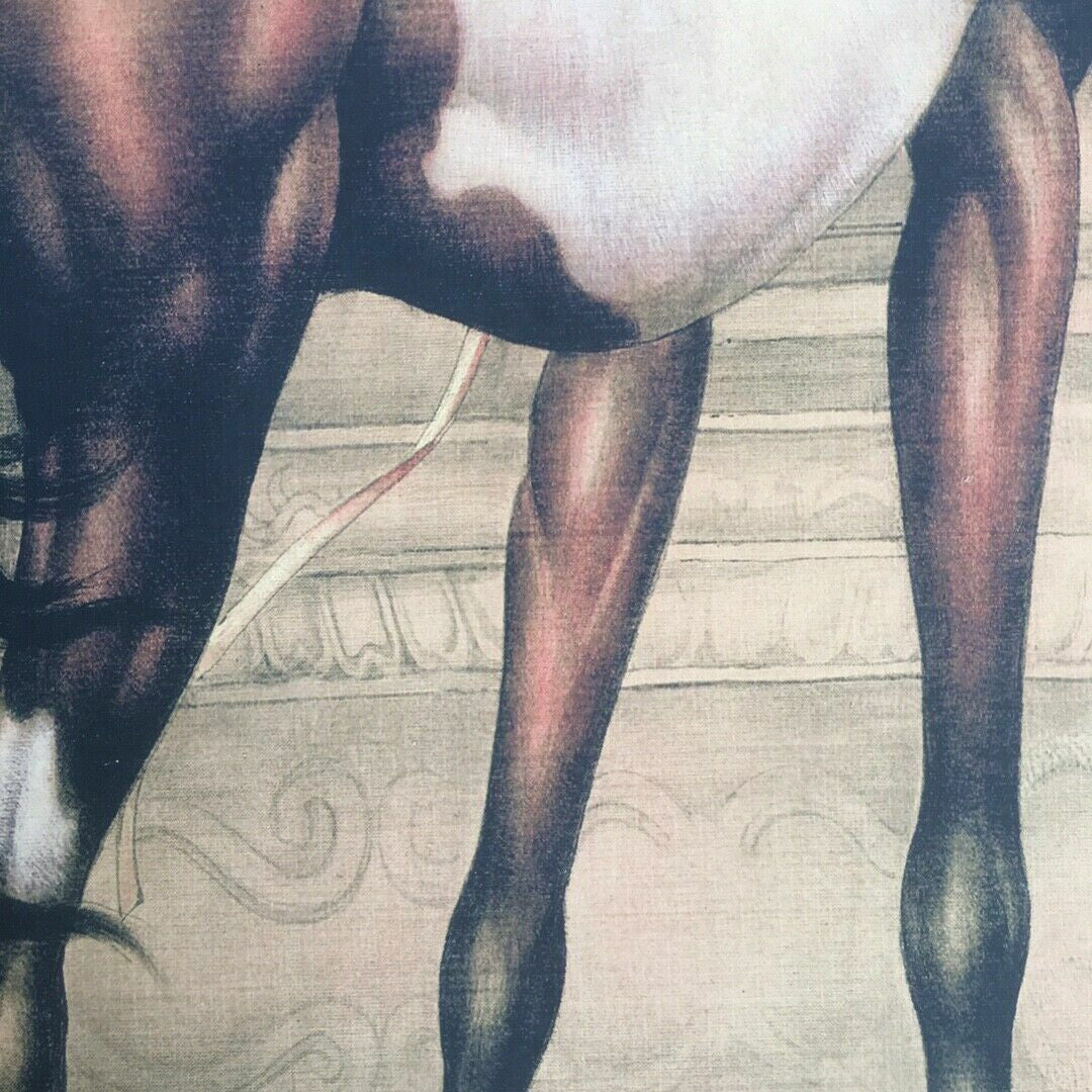 Chinese Old Scroll Lang shining - horse Pictures Painting Rice Paper Painting