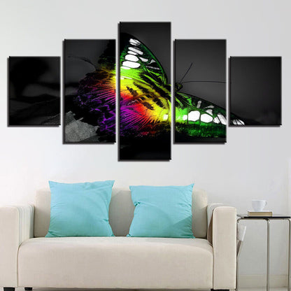 Colourful Butterfly Insect Canvas Prints Painting Wall Art Home Decor Picture 5P
