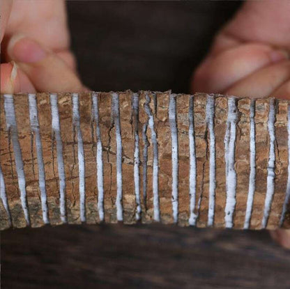 500g Organic Top Quality Dried Eucommia Bark | Du Zhong | Eucommia Ulmoides | 杜仲