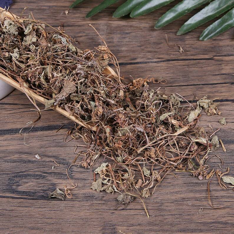 Organic Herbal Centellae Pennywort Herb Centella Asiatica Jixuecao Great Quality