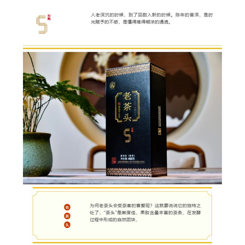 Ripe Cha Pu'er 5 Years Aged Puer Tea LAO CHA TOU * Ba Jiao Ting Pu-erh 400g