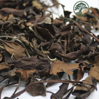 500g Organic Fuding White Tea Loose Leaf Natural Healthy Premium Drink