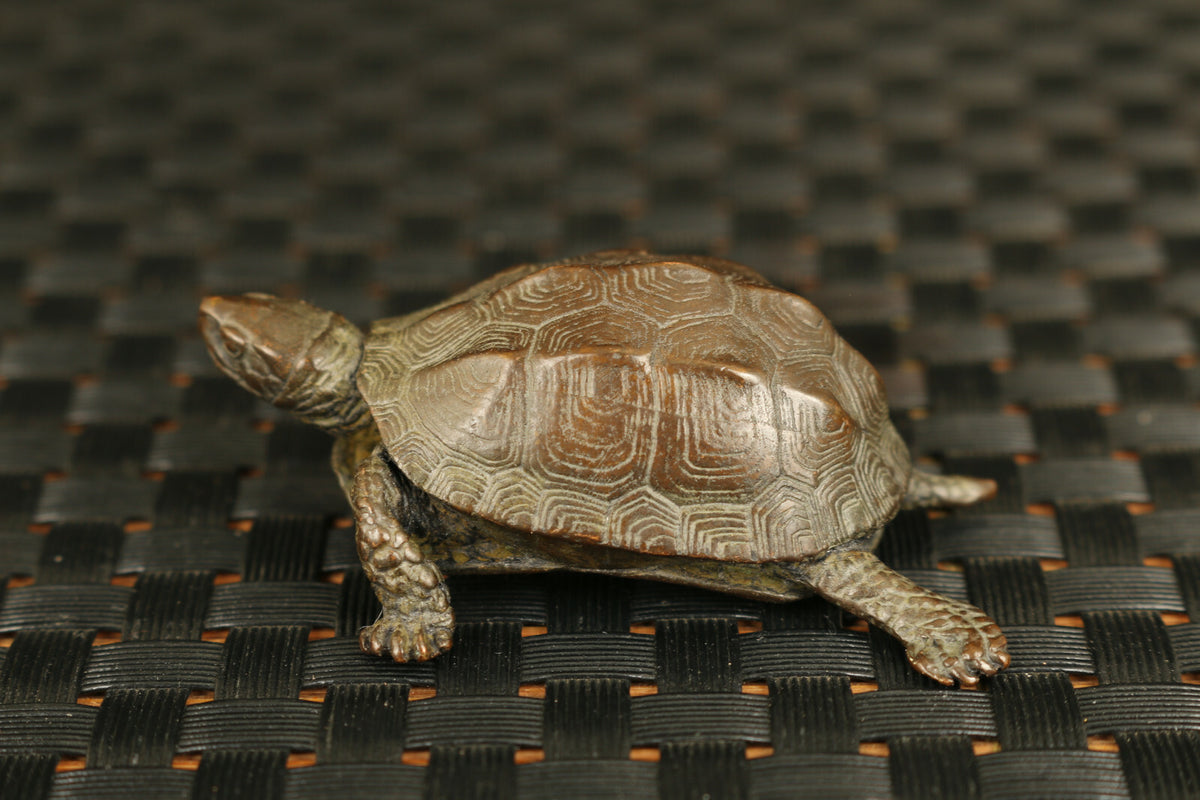 Chinese bronze hand casting tortoise Turtle figure statue Tea pet