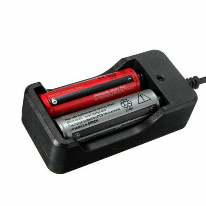 Family Charger Dock and LED Torch Plug Dock For Model 18650 Li-ion Charger Box