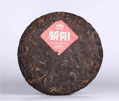 2020 YUNNAN Haiwan Blazing Sun Ripe Puerh "Jiao Yang" Cooked Pu'er erh Tea 357g