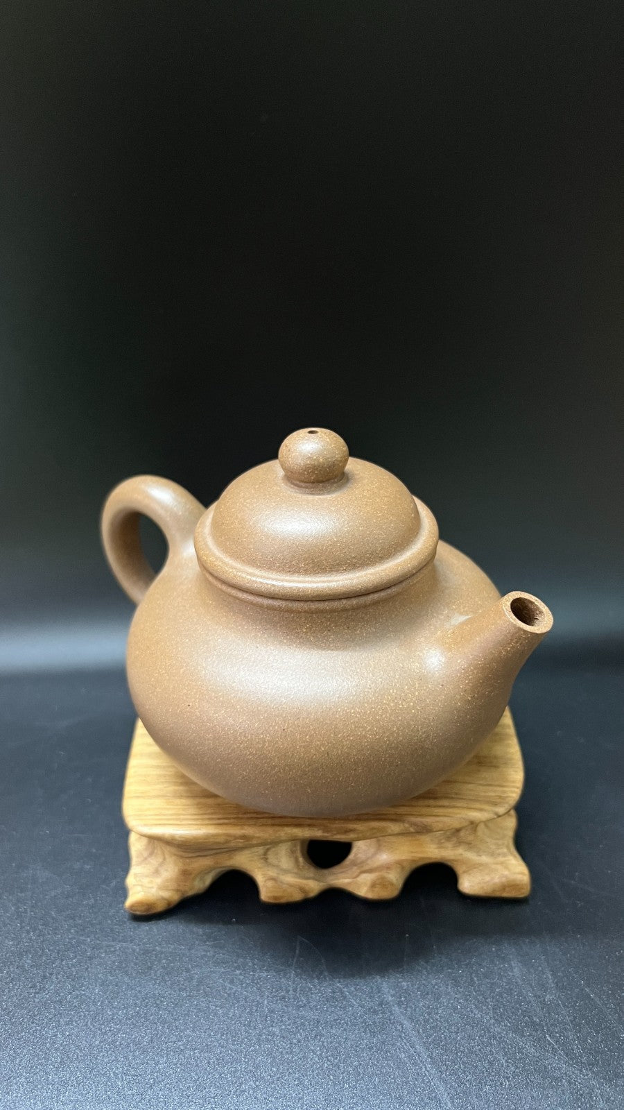 250cc chinese Yixing Handmade Zisha teapot Duan Clay RongTian Gongfu Hu Tea Pot