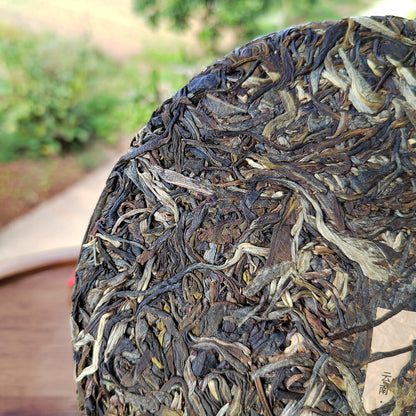 Ancient tree tea Yi Wu Pu 'er tea raw tea 2021 Yunnan old tree tea cake