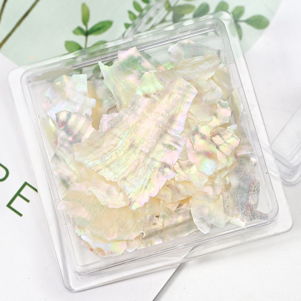 Nail Art Decor 3D Irregular Abalone Natural Sea Shell Stones DIY Accessory 1 Box