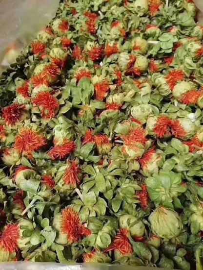 Saffron Fruit Saffron Tibetan Saffron Fruit Western Saffron 500/1.1lb
