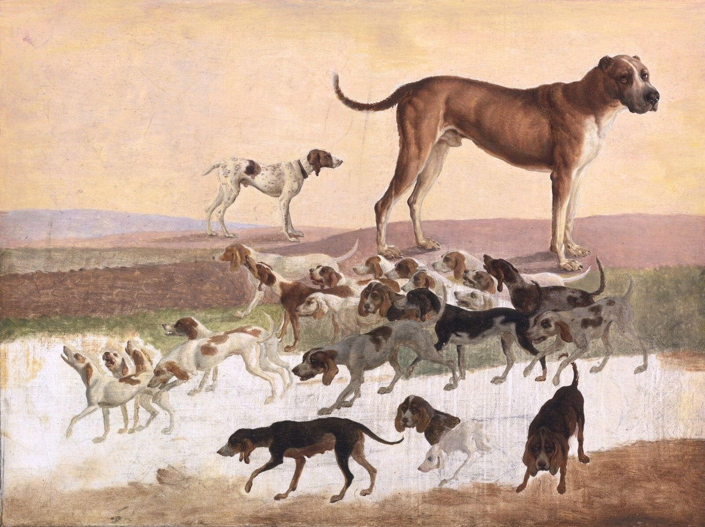 Oil painting Study-of-Dogs-Jacques-Laurent-Agasse-Oil-Painting Study-of-Dogs-Jac