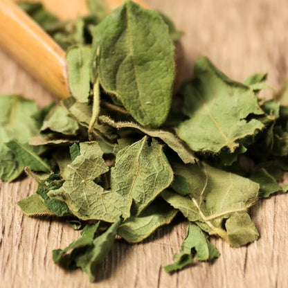 Organic Herbal Japanese Honeysuckle Leaf Honeysuckle Leaf Great Quality