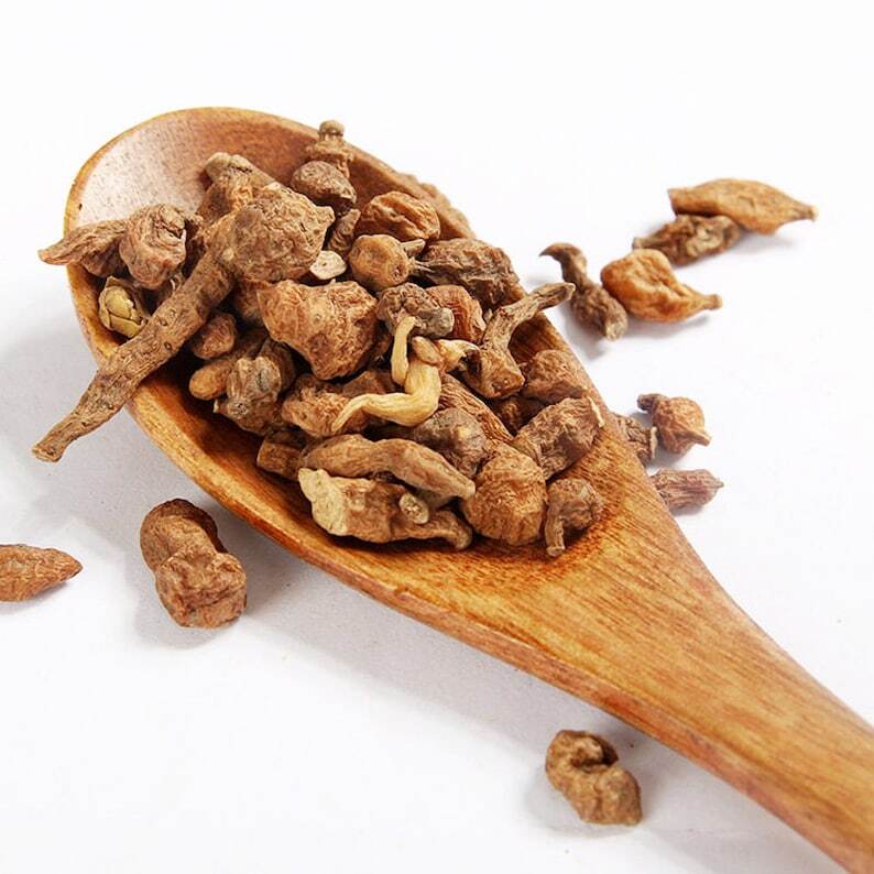 Recommend Dried Root of Silverweed Cinquefoil Premium Potentilla Anserina