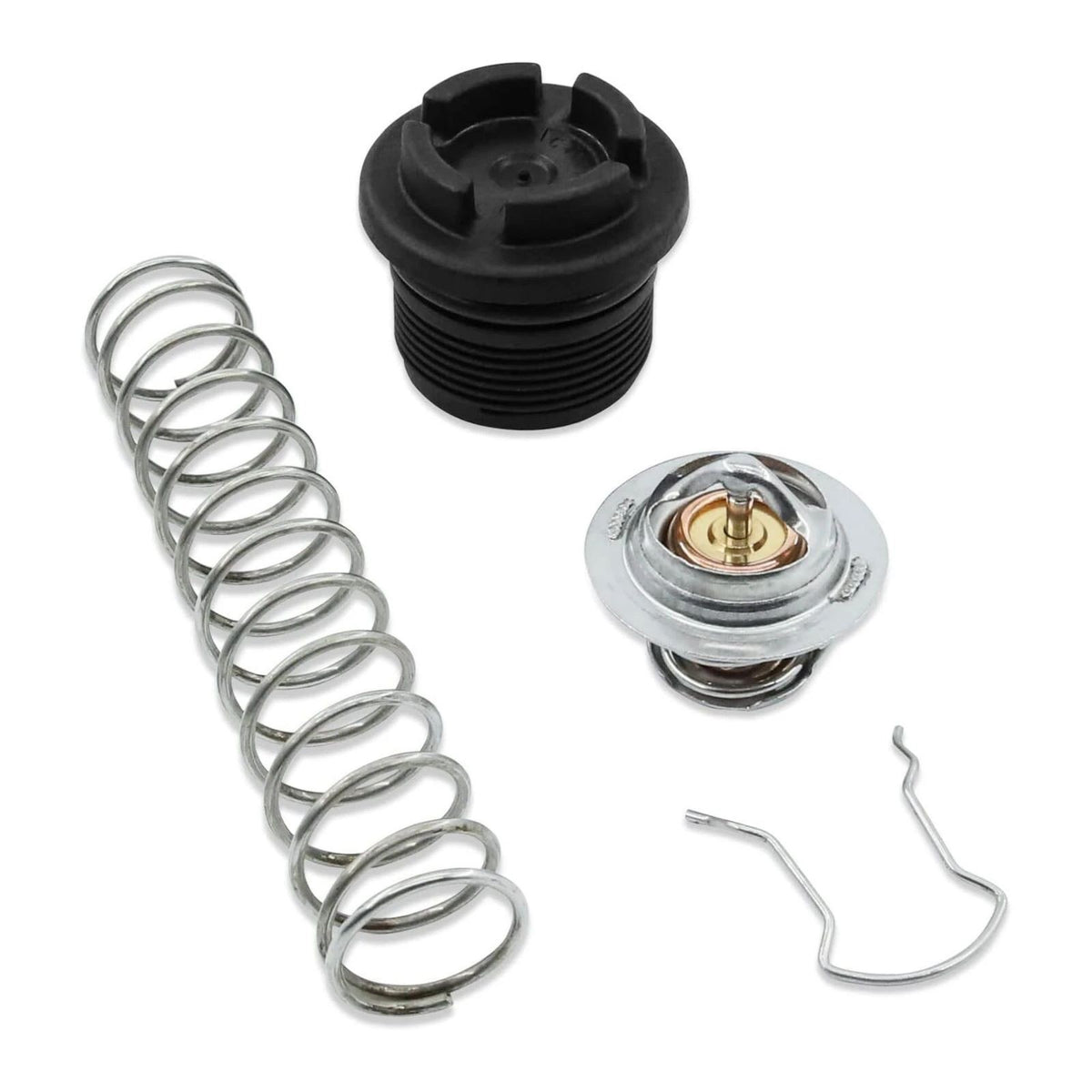 Plastic+Metal 77707-0010 Thermal Regulator Replacement Kit For Pentair Pool Spa