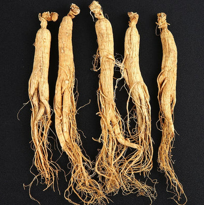 Changbai Mountain Dried white Ginseng Root 6 years Ginseng roots chinese herbal
