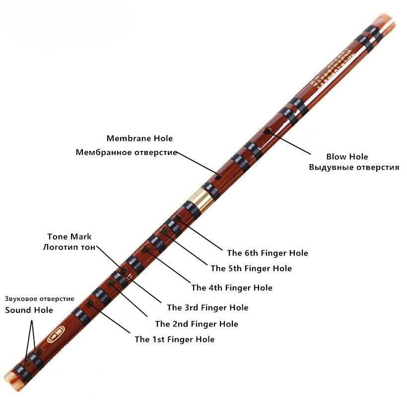 New Musical Instruments C D E F G Key Chinese Dizi Transversal Flauta