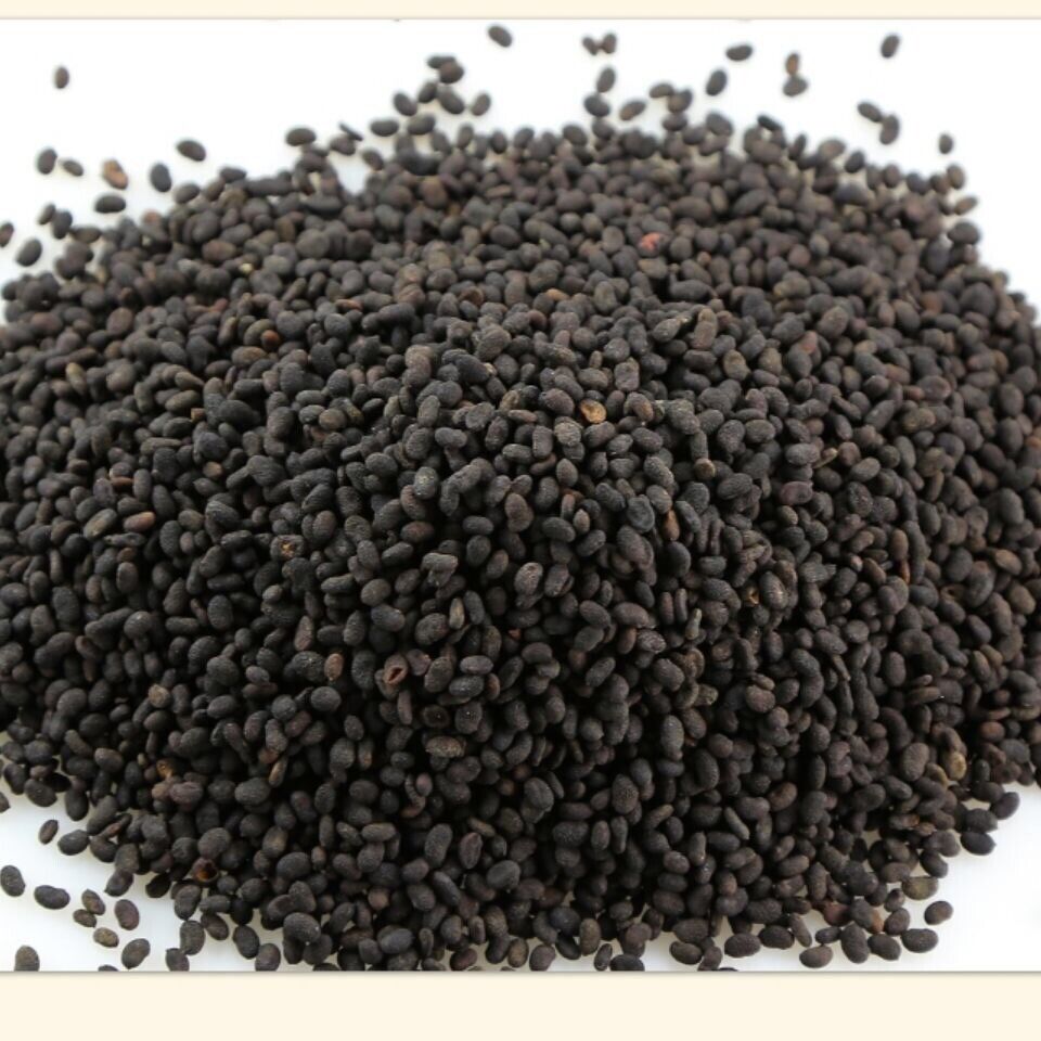 Natural Bu Gu Zhi Herbal Psoralea Fruit Chinese Herbs 补骨脂