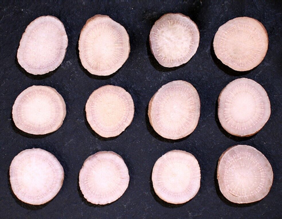 Natural White Sand/Peony Root/Radix Paeoniae Alba/Paeoniae Alba Rx Particles-