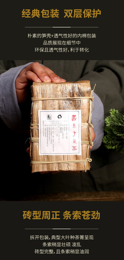 DR. PU'ER TEA Mengku Ba Nuo Yellow Leaf Huang Pian Puer Raw Tea Puerh Brick 500g