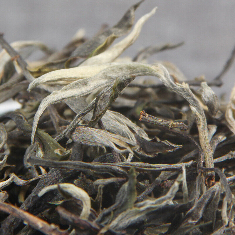 500g Loose Spring Tea Hundred Years Big Tree Grand Xueshan Pu-erh Cha Tea
