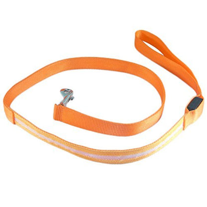 Orange 4 Foot Illuminated LED Pet Leash - Recharged via USB (Charger Included)