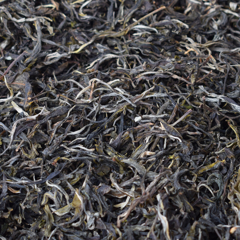 Handmade Spring JingMai ancient puerh trees tea Raw pu-erh Uncooked puerh tea