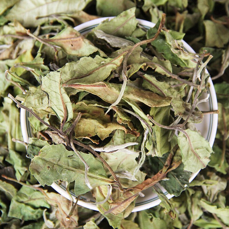 Top Yunnan Big Leaf Honey Flavour 500g Organic Loose Leaf White Tea