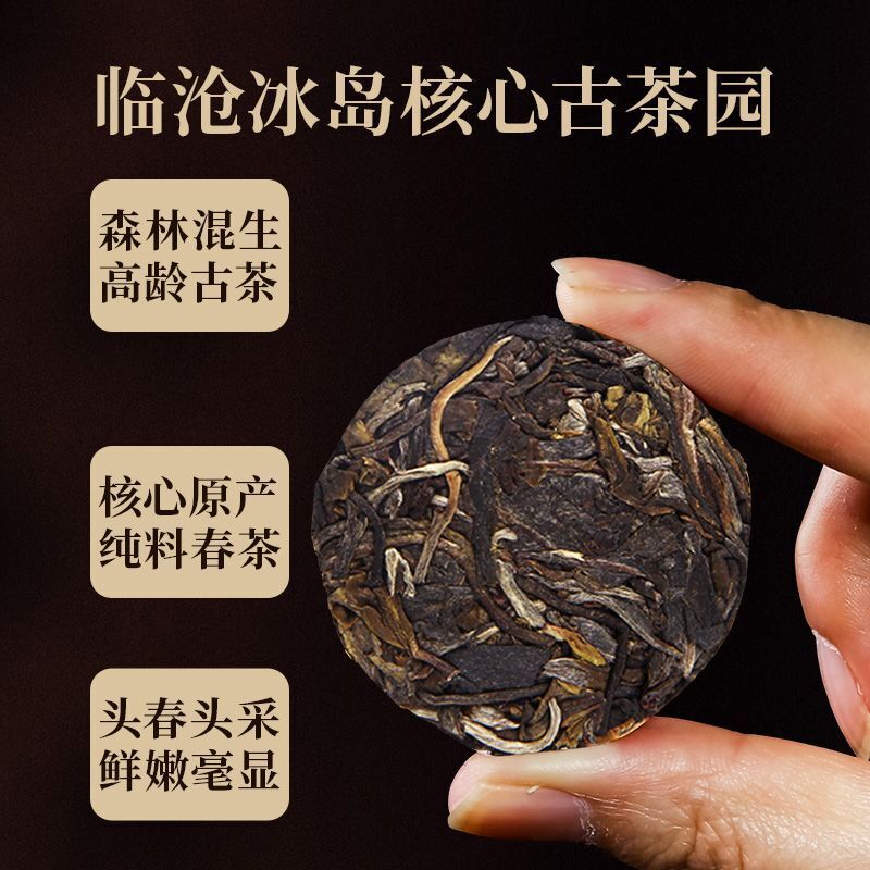 Iceland Hundred Seven Sons 300 Years Old Tree Yunnan Puerh Raw Tea Portable
