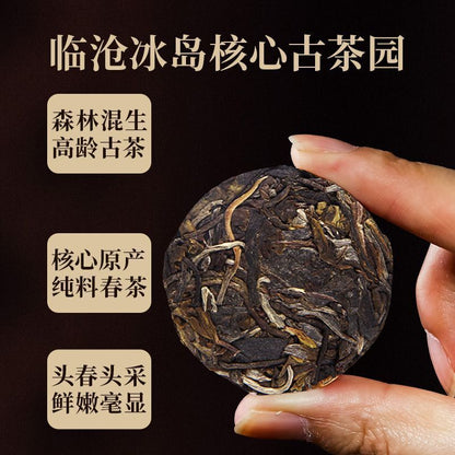 Iceland Hundred Seven Sons 300 Years Old Tree Yunnan Puerh Raw Tea Portable