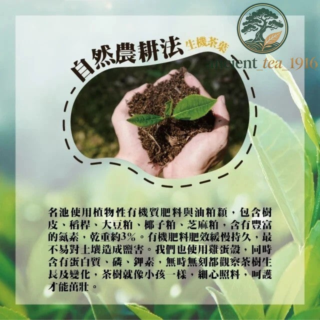 Taiwan unique tea,Xiangyun Tieguanyin Alpine Oolong Tea,150g*4