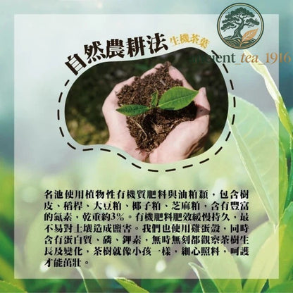 Taiwan unique tea,Xiangyun Tieguanyin Alpine Oolong Tea,150g*4