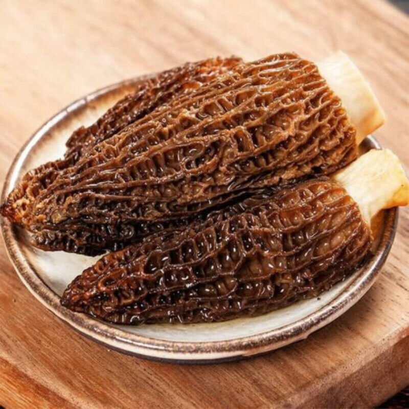 50g High Quality MOREL-DRIED-MUSHROOMS- Naturals From the YUNAN of China 羊肚菌