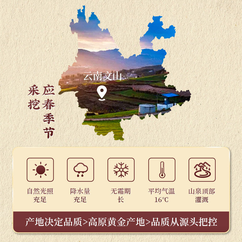 Tongrentang Notoginseng Powder 255g Sanqi Ground Powder Nourishing and Health