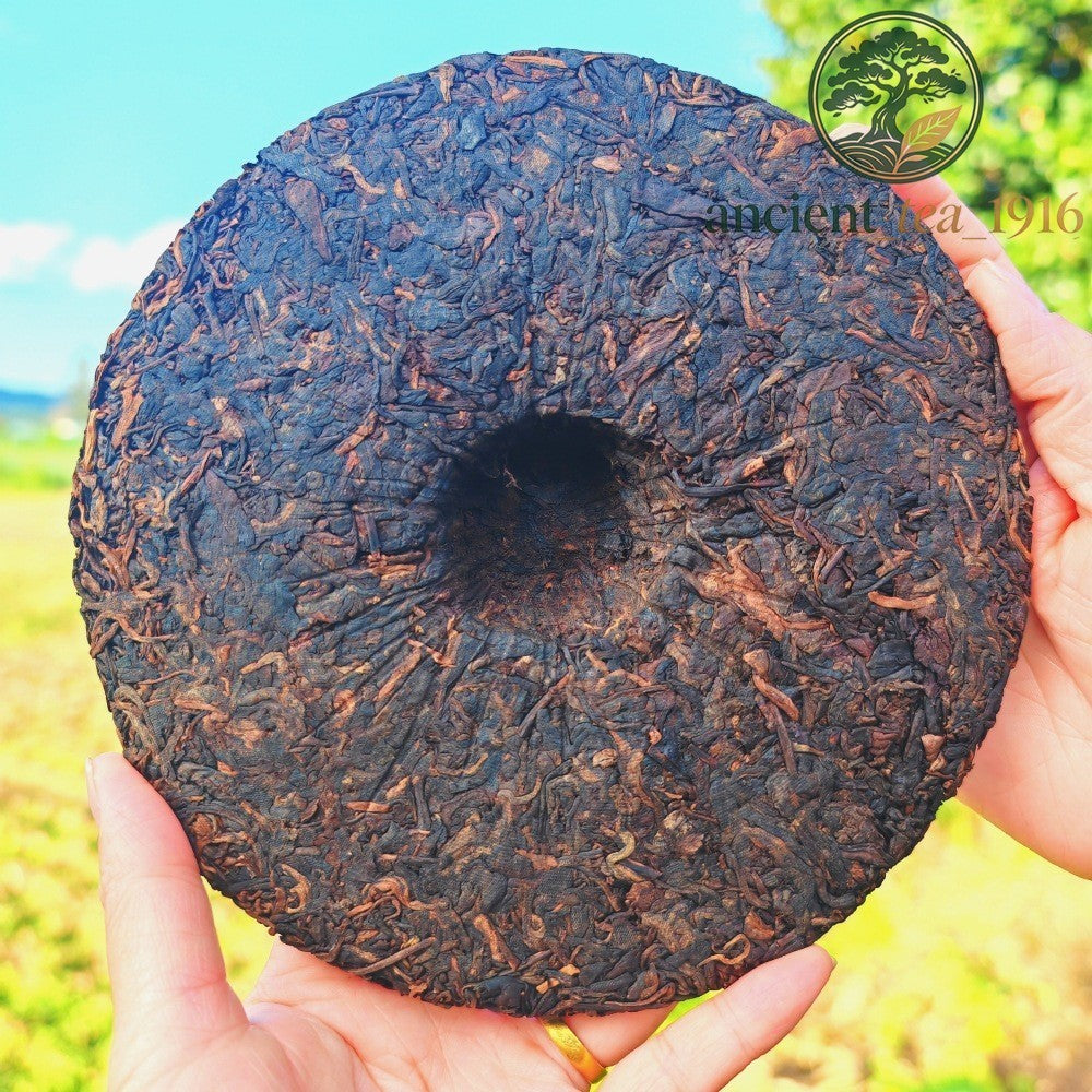 Pu-erh Puer Puerh Tea 357g 2003 Yunnan Menghai Banzhang Ancient Tree Ripe Cake