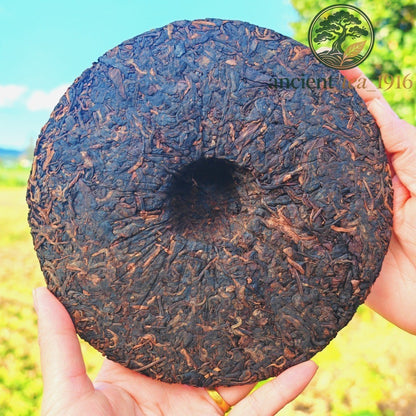 Pu-erh Puer Puerh Tea 357g 2003 Yunnan Menghai Banzhang Ancient Tree Ripe Cake