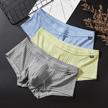 Sexy Men's Underwear Low Waist Briefs U Pouch Striped Shorts Underpants