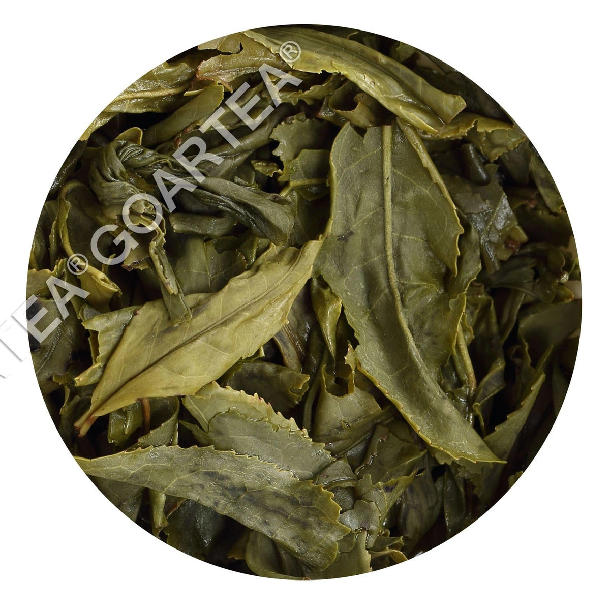 250g Premium Melon Slice Liuan Guapian Spring Green Tea Chinese Loose Leaf