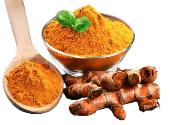 FRESH TURMERIC TUMERIC ROOT POWDER US SELLER CURCUMA LONGA SAFRON SPICE