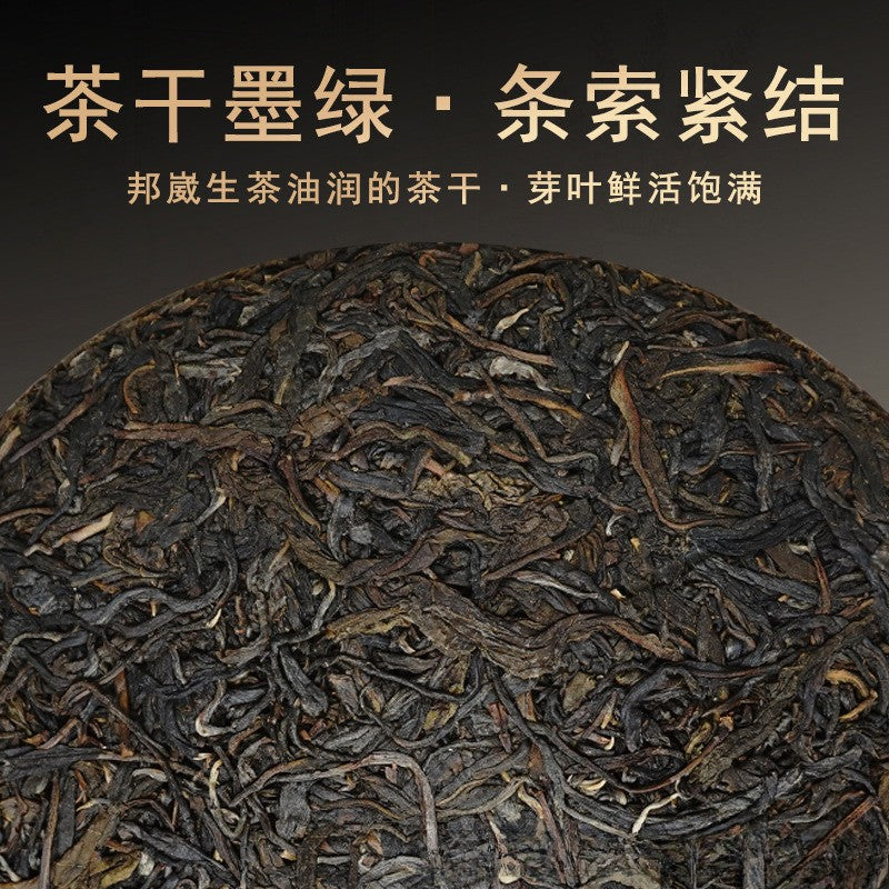 357g Authentic Yunnan Bangwei Ancient Tree Qing Xiang Pu'er Tea Raw Tea Cake
