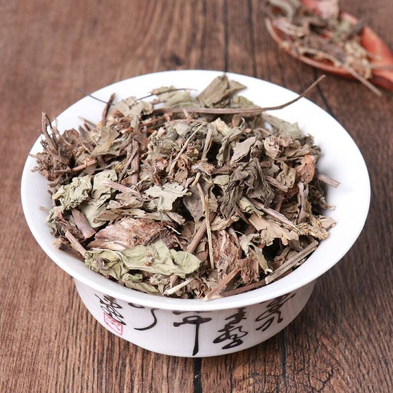 Natural Herbal Plantaginis Pure Plantain Herb Plantago Asiatica Great Quality