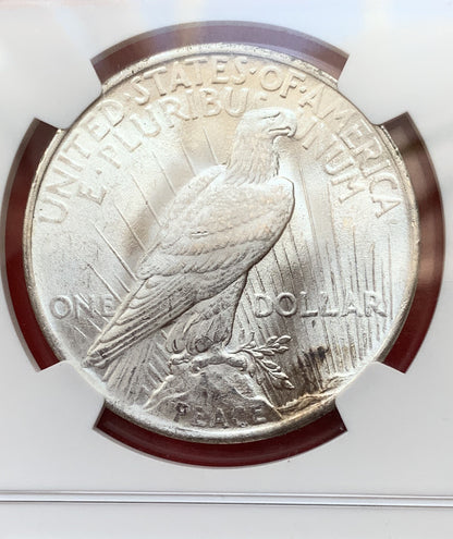 1923 PEACE SILVER DOLLAR NGC MS63 USA Old Constitution Money 美国和平银元 MS 63